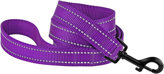 Nylon Dog Leash 5Ft for Daily Outdoor Walking Running Training Heavy Duty Reflective Pet Leashes for Large, Medium & Small Dogs